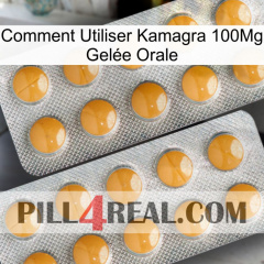 Comment Utiliser Kamagra 100Mg Gelée Orale levitra2